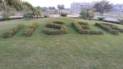 IMG_20160204_174245.jpg