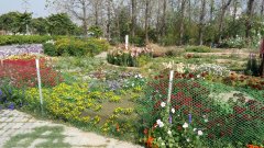 IMG_20160328_094107.jpg